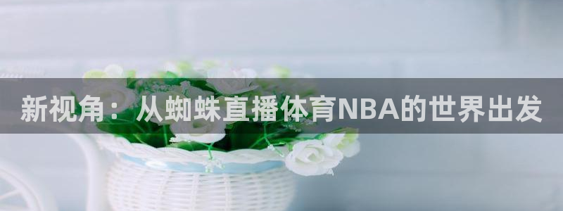 新视角：从蜘蛛直播体育NBA的世界出发