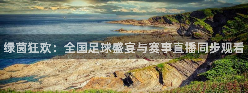 绿茵狂欢：全国足球盛宴与赛事直播同步观看