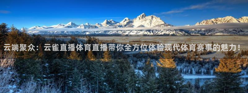 云端聚众：云雀直播体育直播带你全方位体验现代体育赛事的魅力！