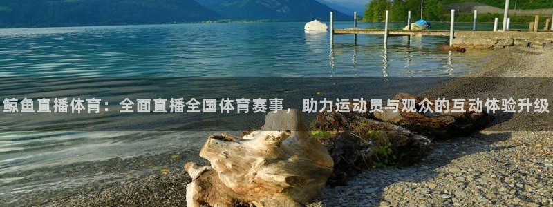 鲸鱼直播体育：全面直播全国体育赛事，助力运动员与观众的互动体验升级