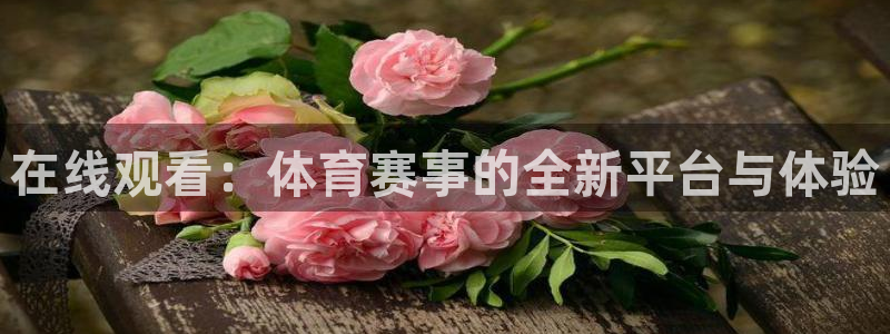 在线观看：体育赛事的全新平台与体验